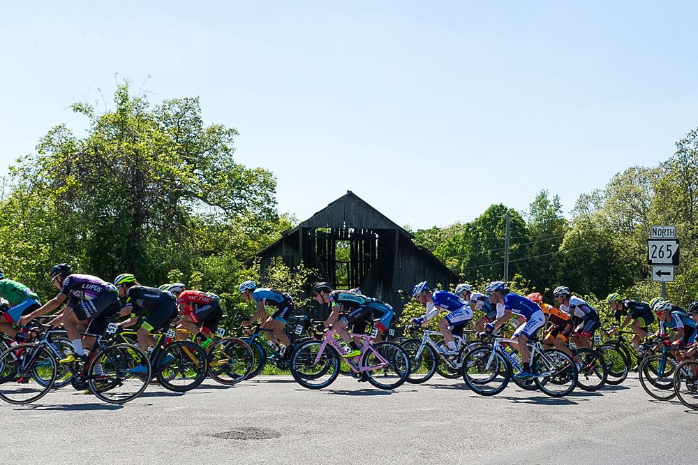 The field all together Joe Martin Stage Race stage 3