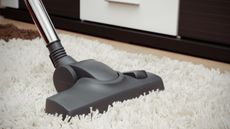 Vacuum cleaner on white shag rug