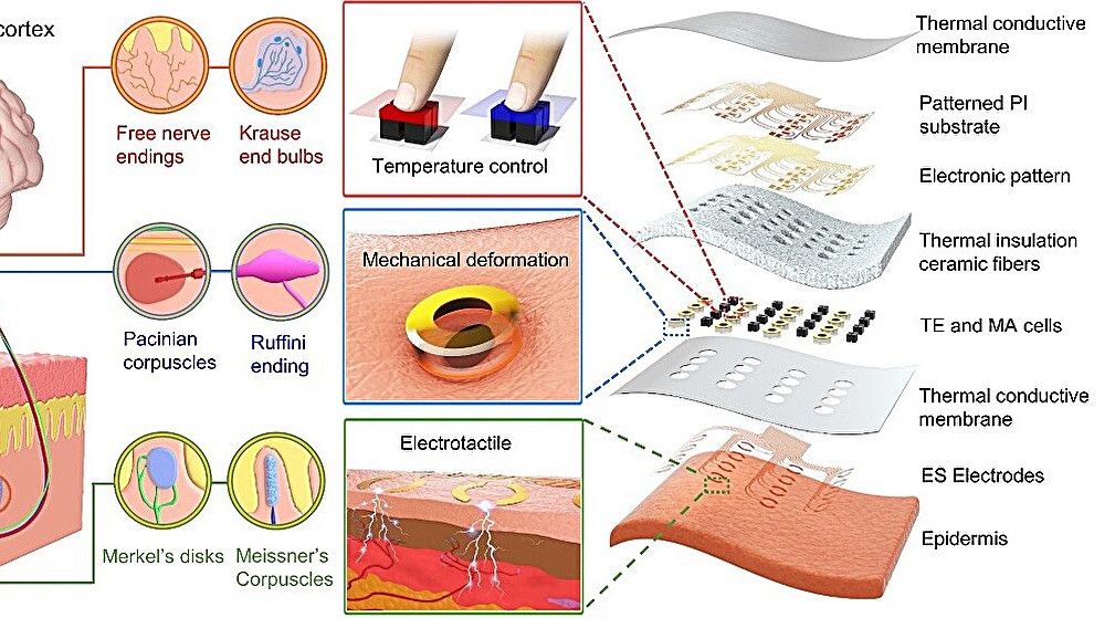 Art of the neural tactile sensing system and multimodal haptic patch developed by researchers from the City University of Hong Kong and various Chinese universities.