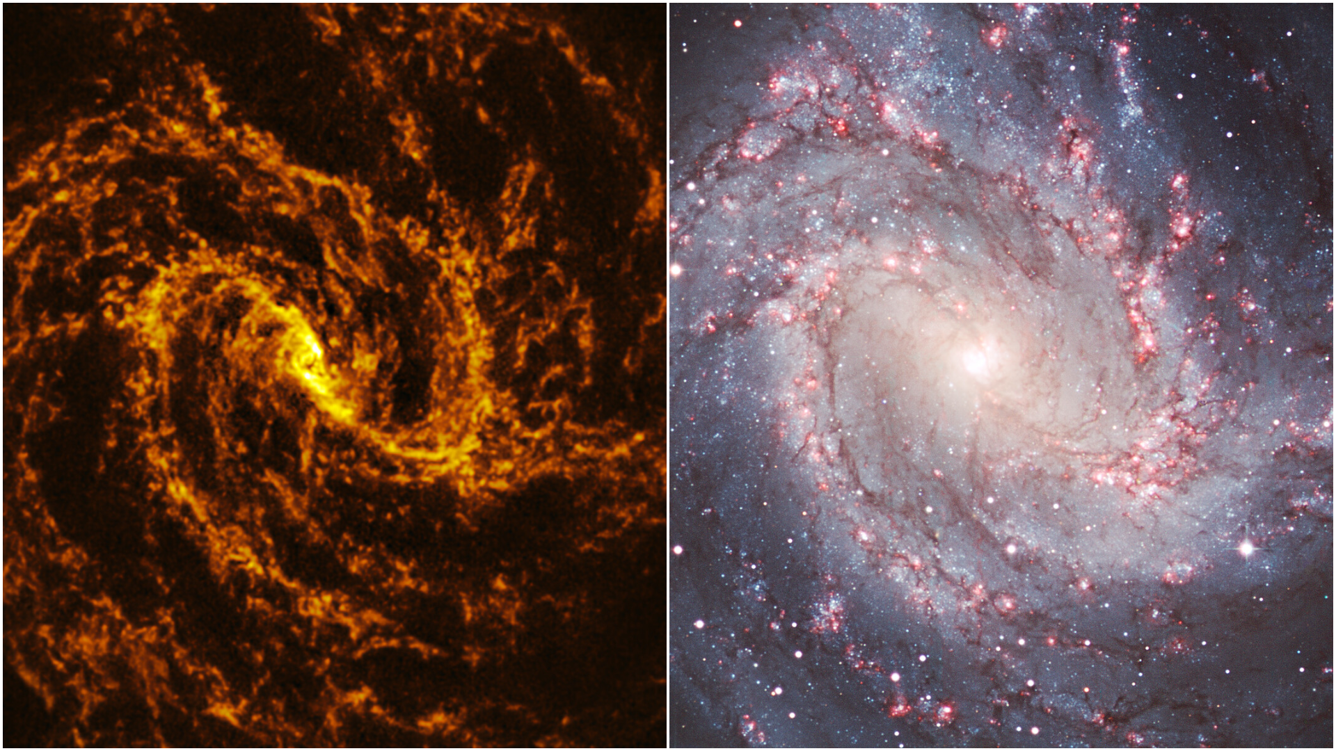 Galactic 'photo negative' reveals a spiral galaxy in another light photo of the day for Oct. 6 2026