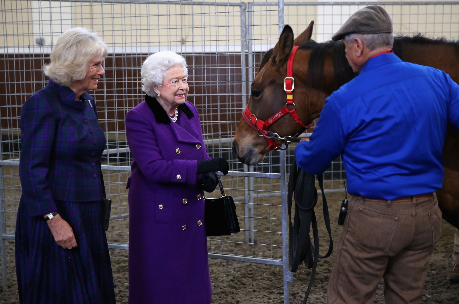 Queen Camilla, Queen Elizabeth and Monty Roberts smiling and looking at a horse