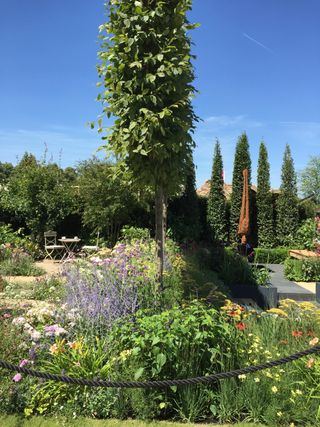 Best of both Worlds garden by Rosemary Coldstream at Hampton Court 2018