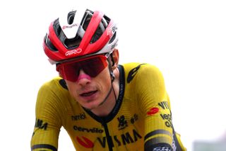 Jonas Vingegaard crashes in training after being tailed by amateur rider, as Visma urge fans to give pros 'as much space and peace as possible'