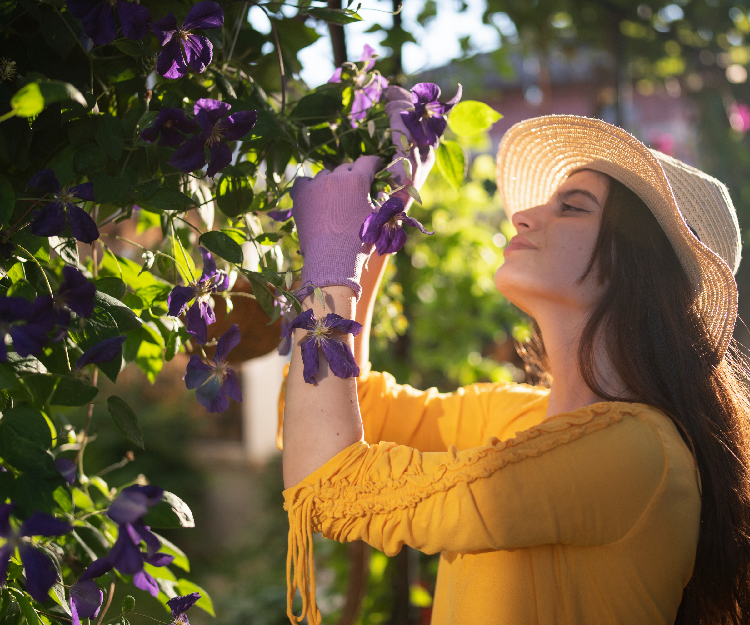 A woman in a hat and yellow shirt studies a clematis vine