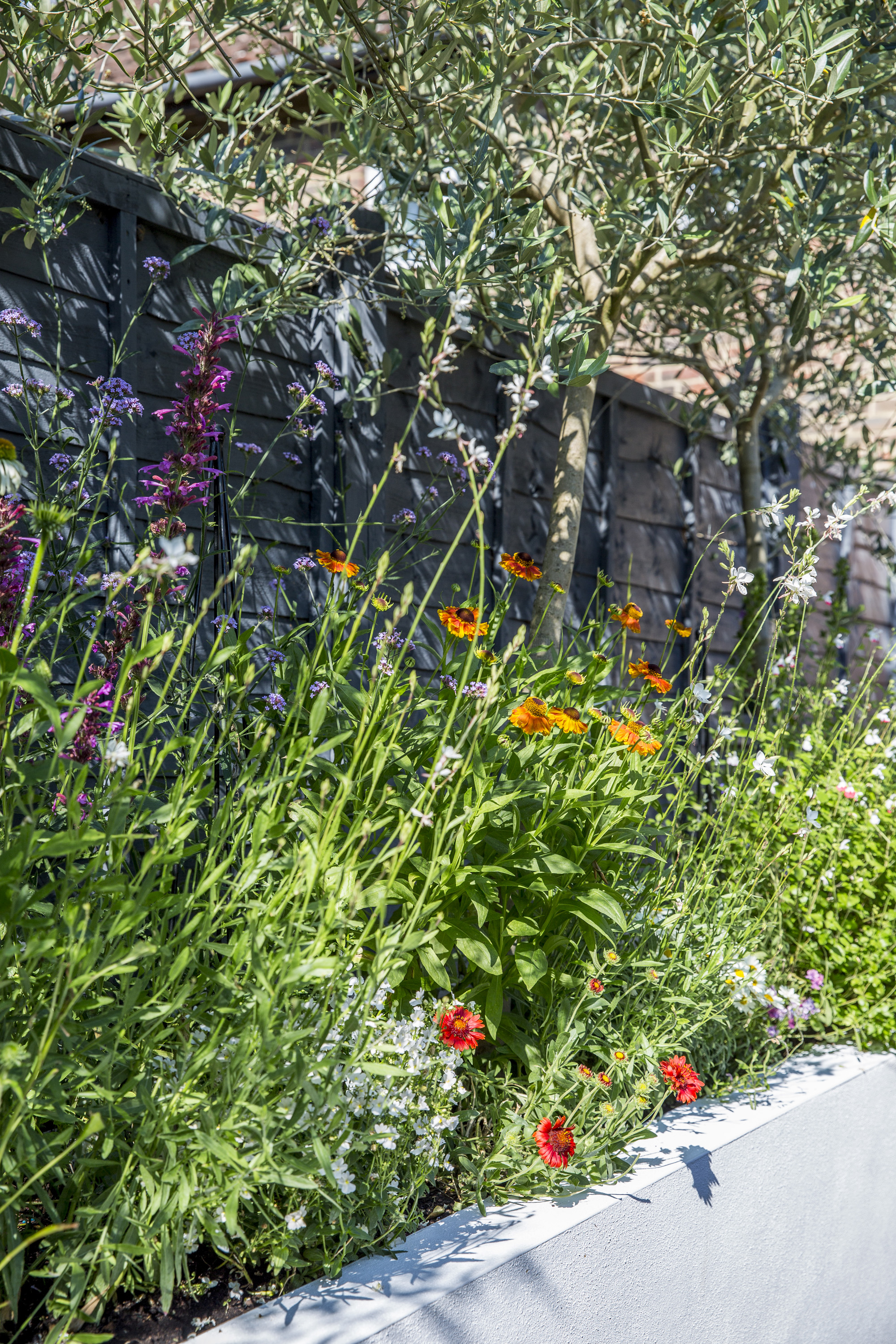 raised beds filled with flowers in front a garden fence