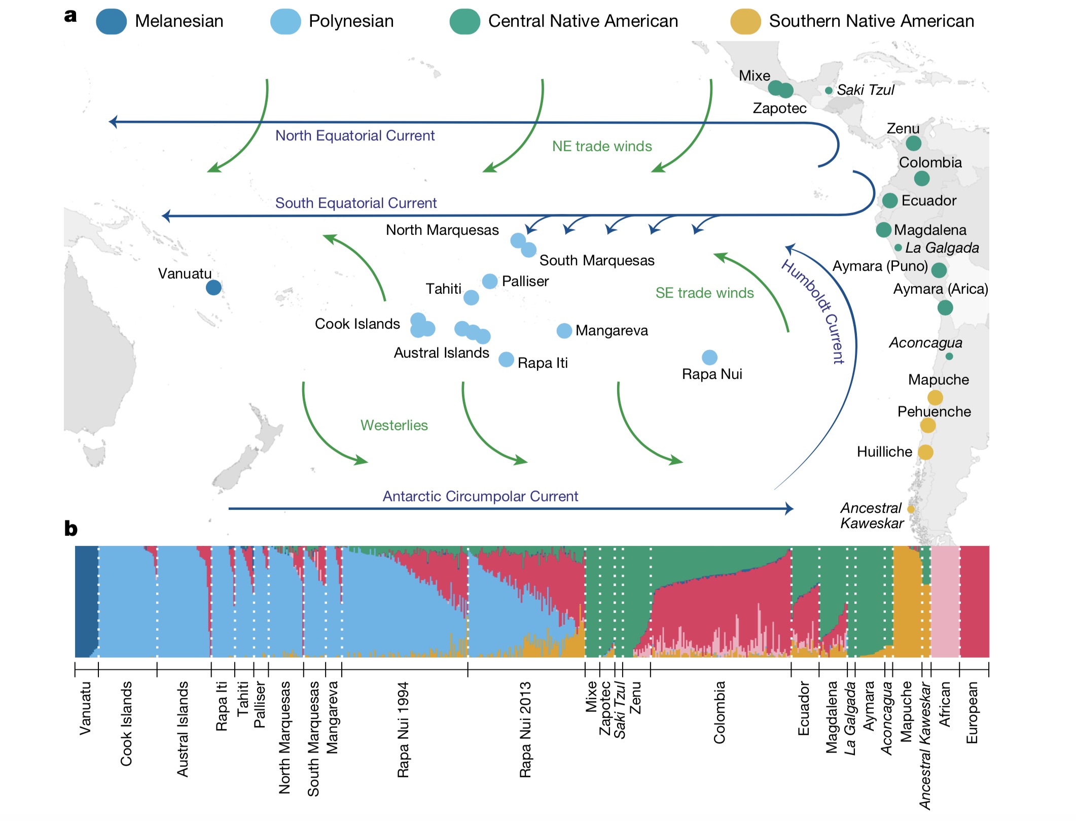 Each group of colored dots shows where DNA was sampled for this project. For instance, the yellow dots signify Southern Native Americans. The below bar shows what percentage of DNA from different populations was found in each individual. For example, the light blue represents Polynesian DNA while the hot pink represents European DNA sequences. The team also charted the wind and ocean currents to see how ancient people may have traveled across the Pacific.