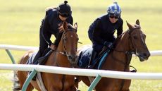 Bryony_Frost__left__and_Richard_Hills_put_Arabians_through_their_paces.jpg