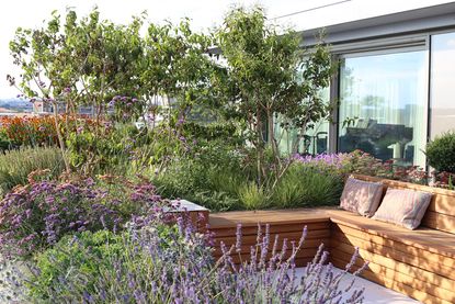 modern garden ideas with rewilding plants and built in seating 