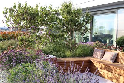 How to plan a modern garden