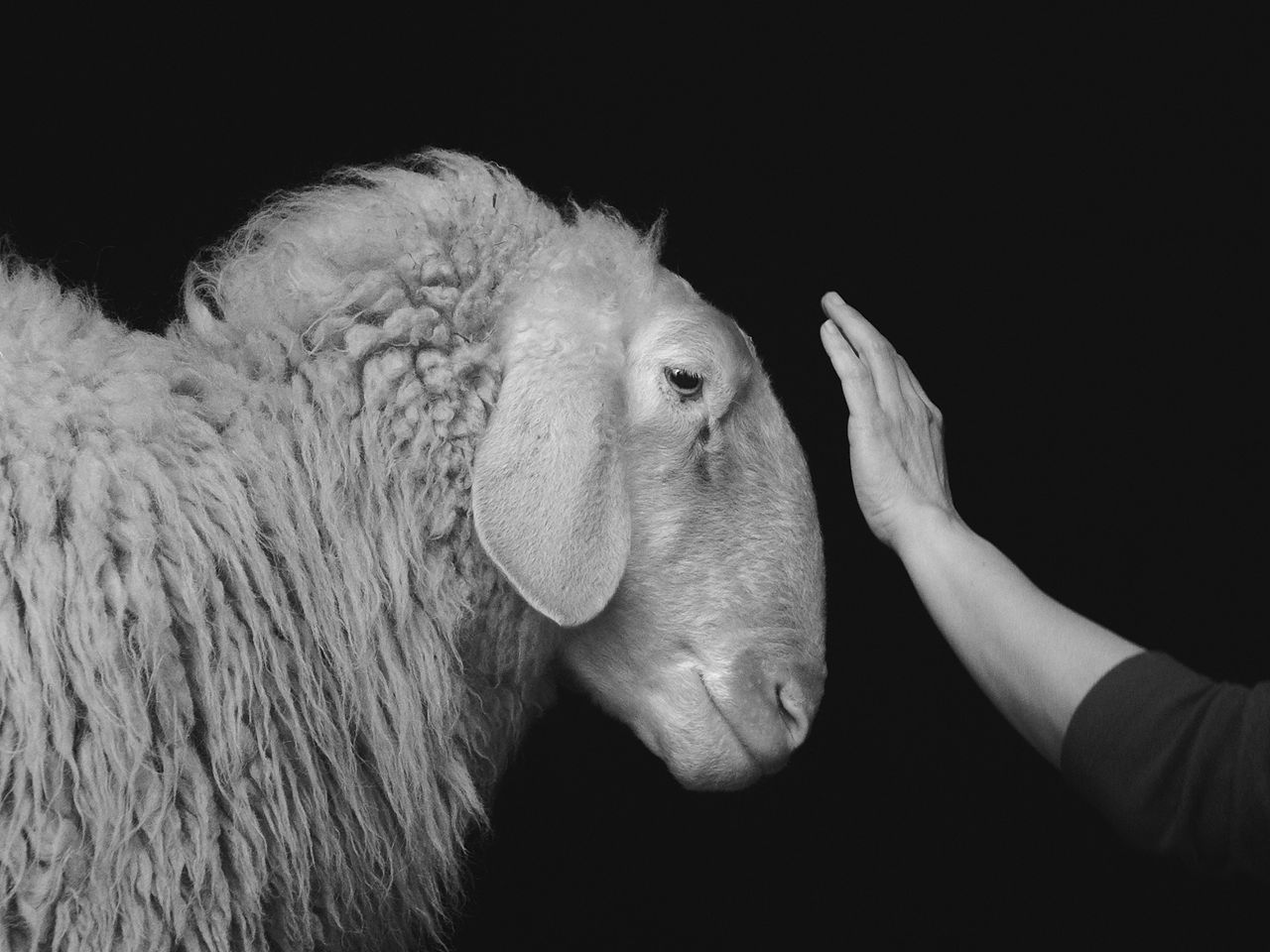 Oltre Terra by Formafantasma at Oslo National Museum: still from video