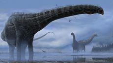 A hypothetical life restoration of "Dolly," the sauropod fossil with preserved evidence of a respiratory infection. Probable pneumonia-like outward symptoms would have included coughing, labored breathing, nasal discharge, fever and weight loss.