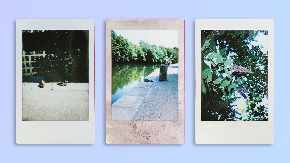 A photo taken and printed on a Fujifilm Instax mini 13 instant camera