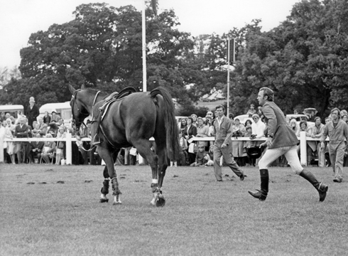 &hellip; but horse and rider walked away unscathed.