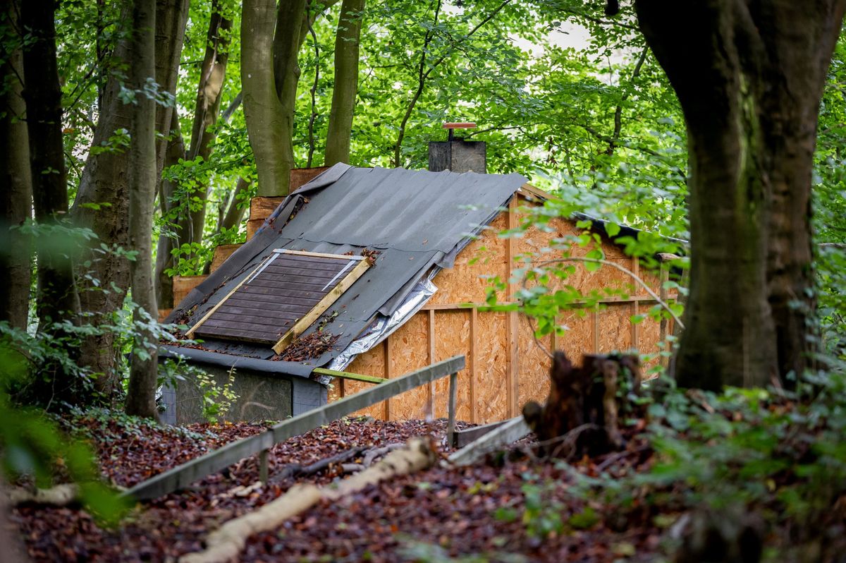 Landowner Told To Demolish His Shed Due To Area Being Home To Rare Bats ...