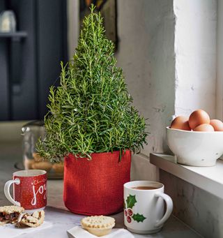 rosemary christmas tree egg bowl and cups