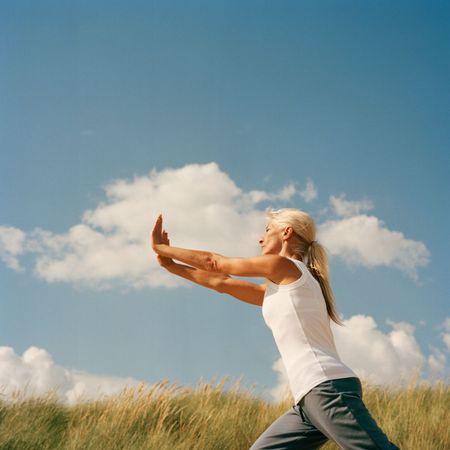 Tai chi workouts