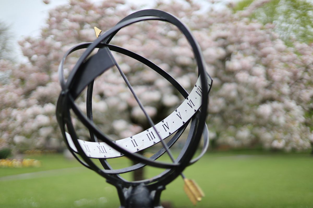 Canon RF 45mm f/1.2 STM sample image