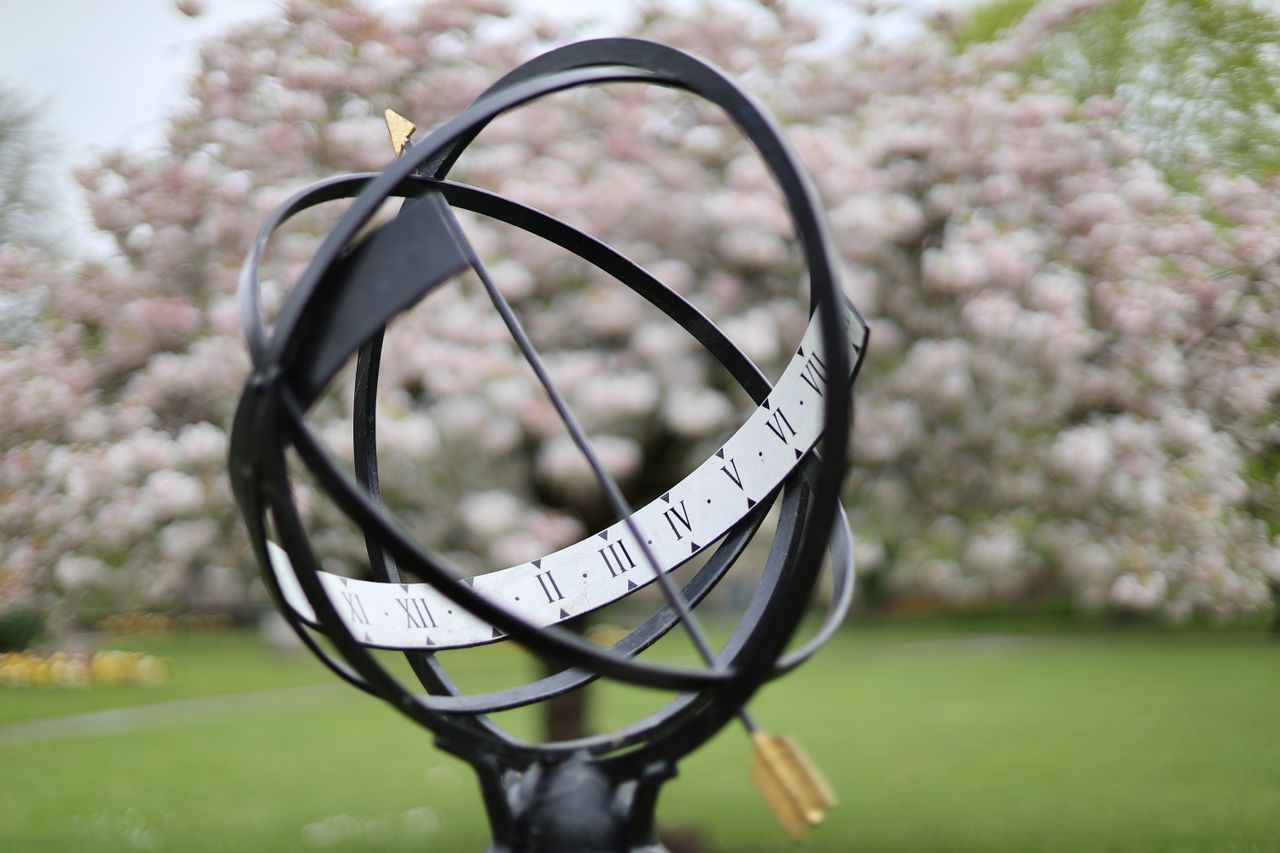 Canon RF 45mm f/1.2 STM sample image