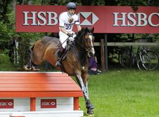 harry-meade7.jpg