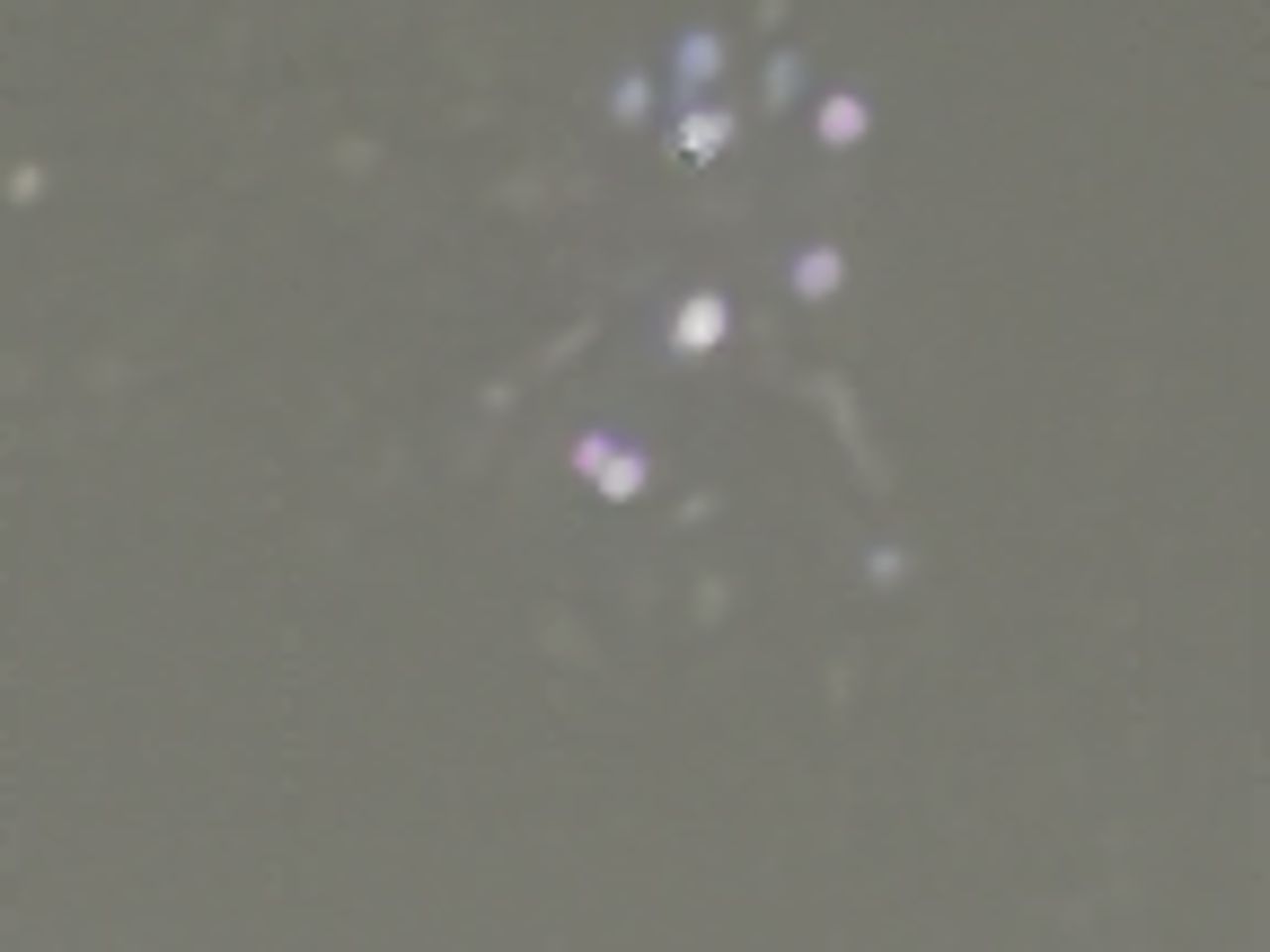 Apple iPhone 16 Pro Max astrophotography.