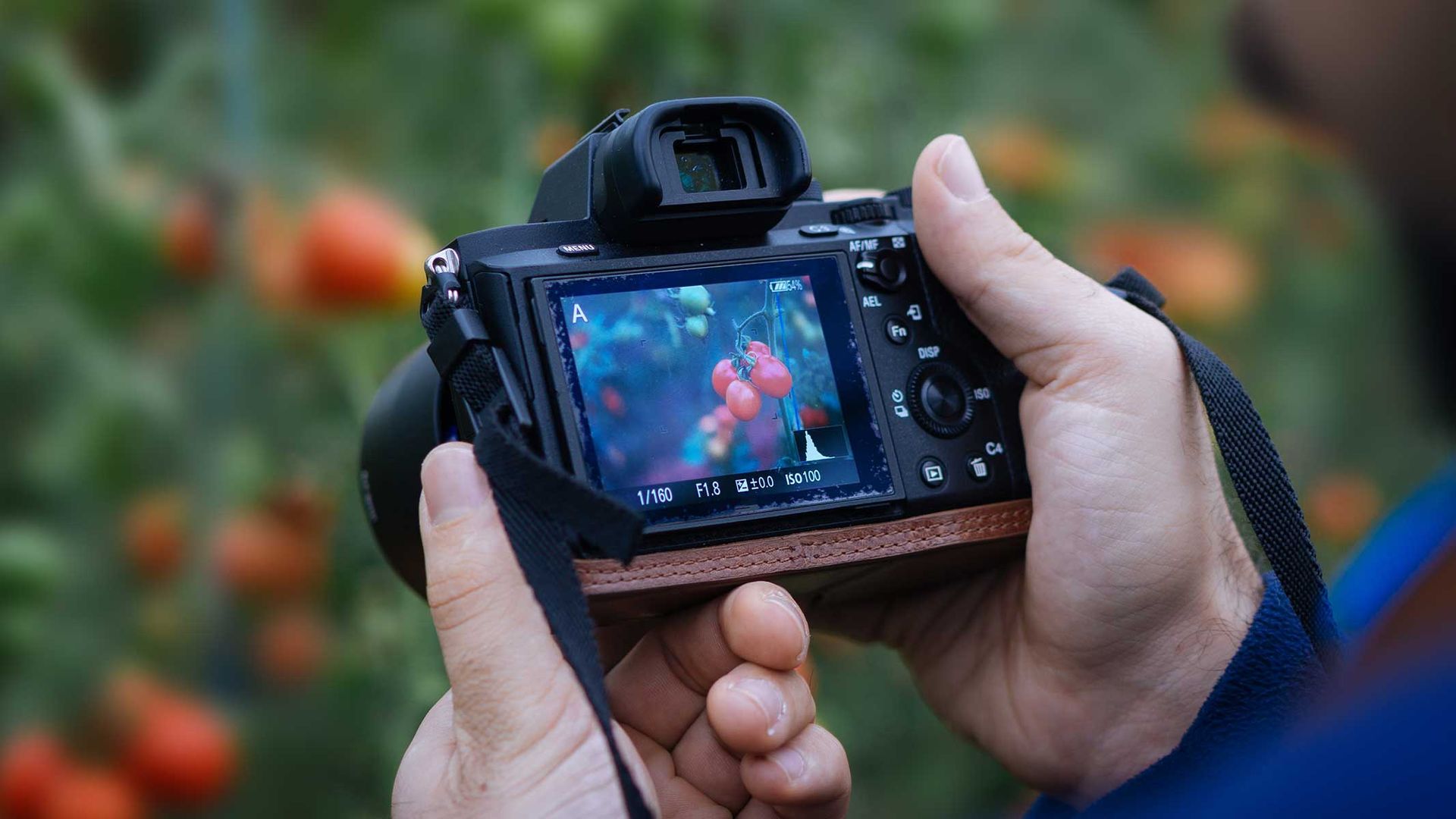 Is a mirrorless camera worth the cost? Space