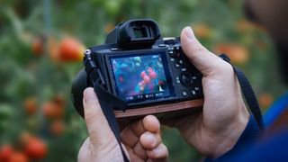 Mirrorless camera in the hands of a photographer