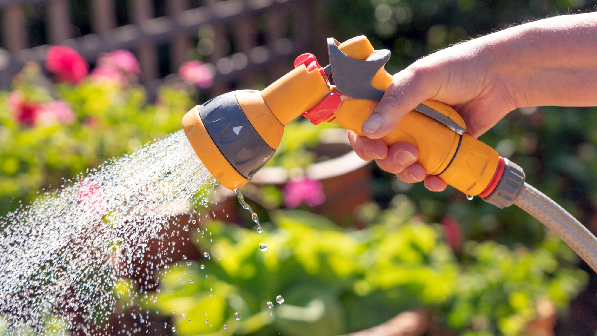 Hand holding yellow nozzle of hosepipe to water plants in a low maintenance garden