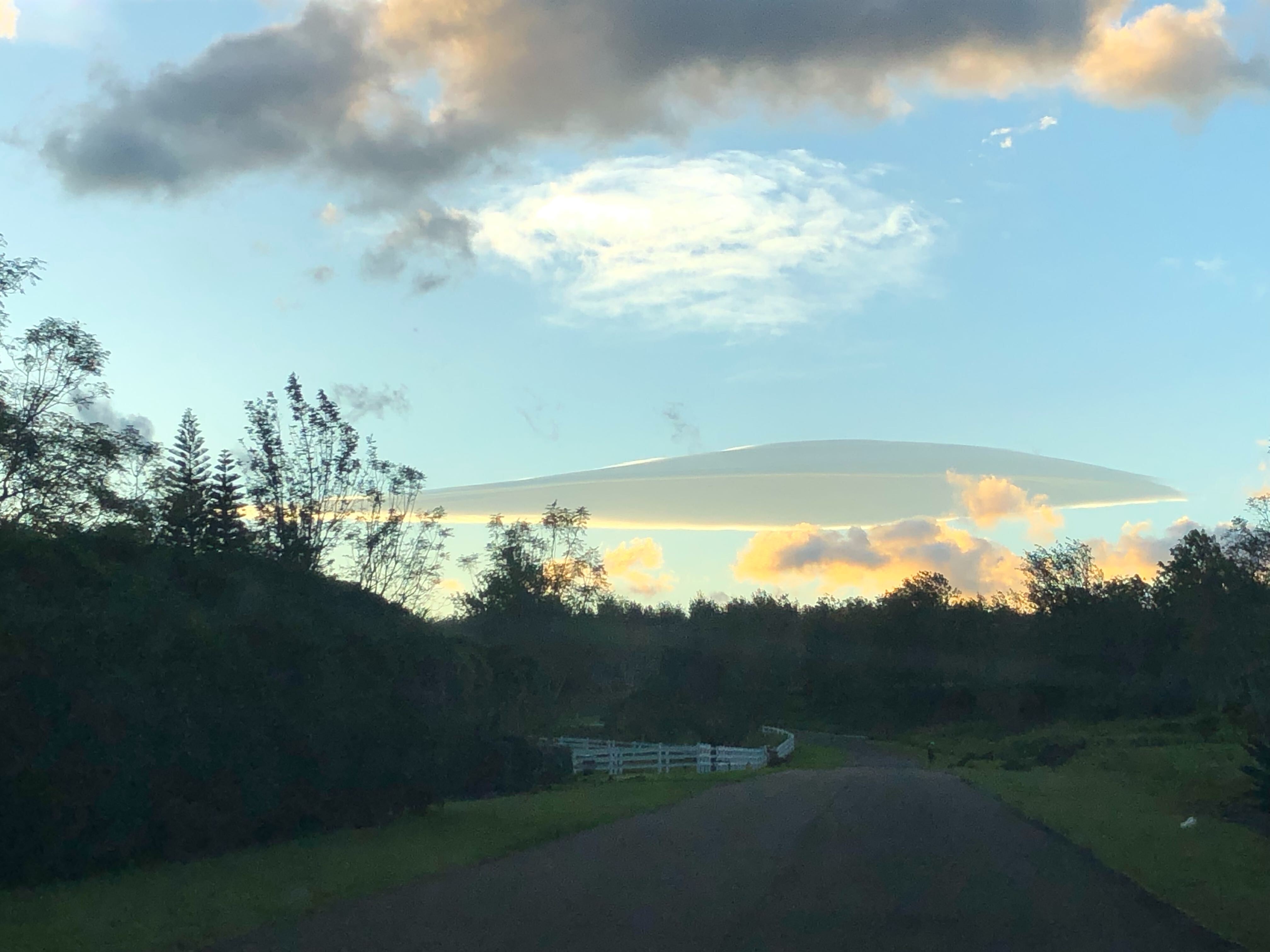 a large saucer-shaped cloud above a wooded road