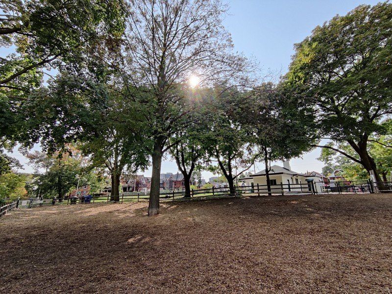 OnePlus 8T camera sample (wide-angle)