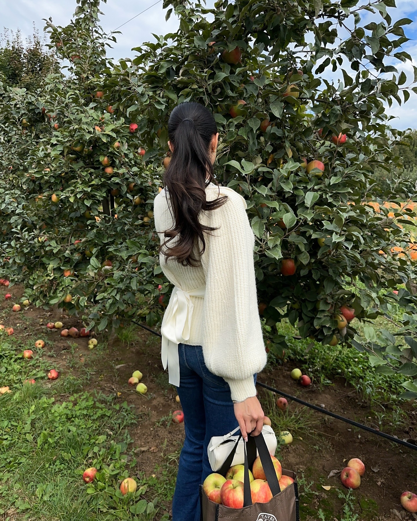 A woman picking apples with a tousled ponytail hairstyle