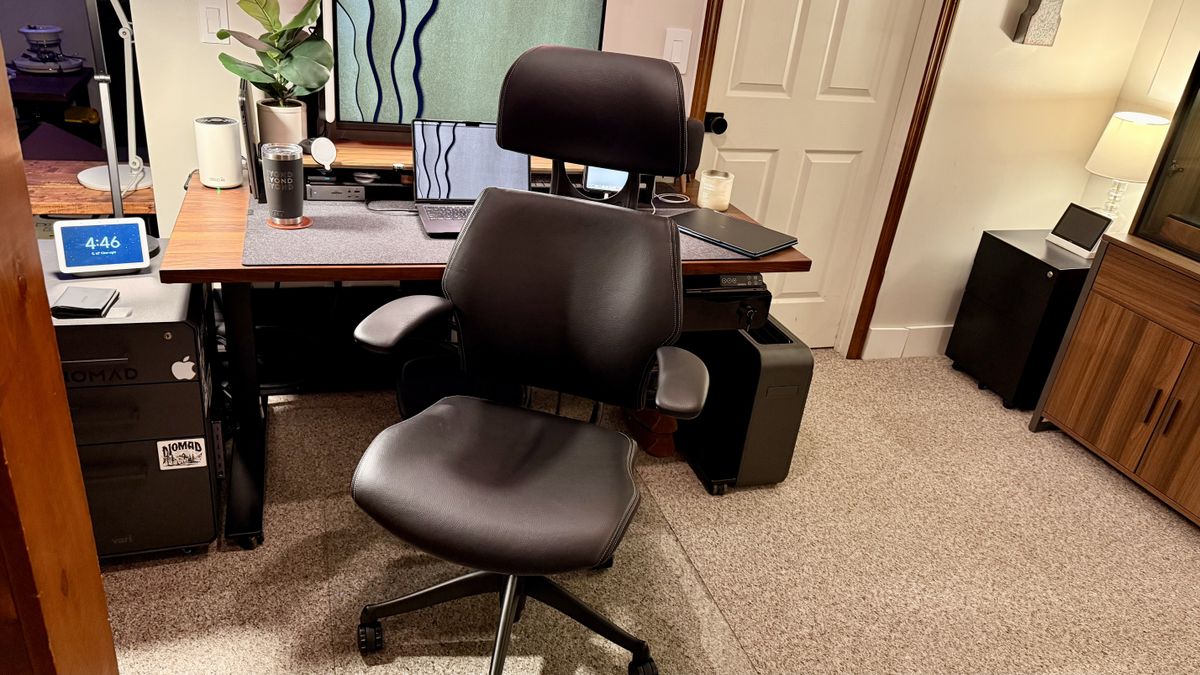 The Humanscale Freedom is the most luxurious chair I have ever experienced - and I have fallen in love