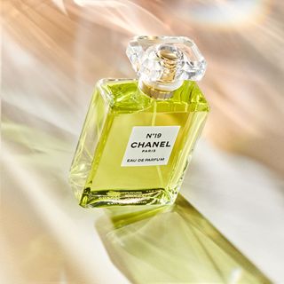 Expensive perfumes: No.19 Chanel