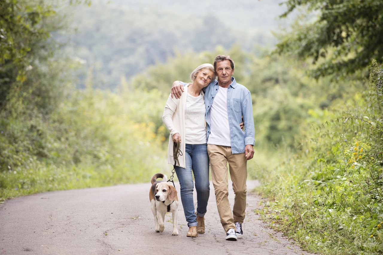 An older, happy couple walks their dog on a country road.