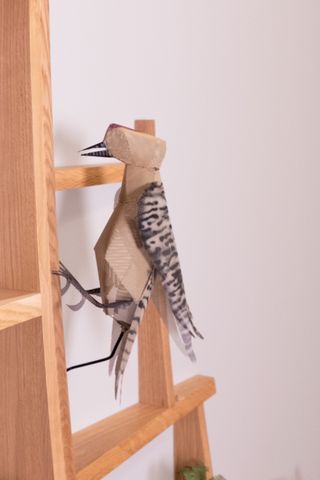 Bird model on wooden shelf