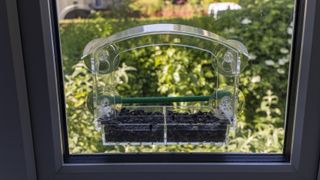 A window bird feeder on an upstairs bedroom window