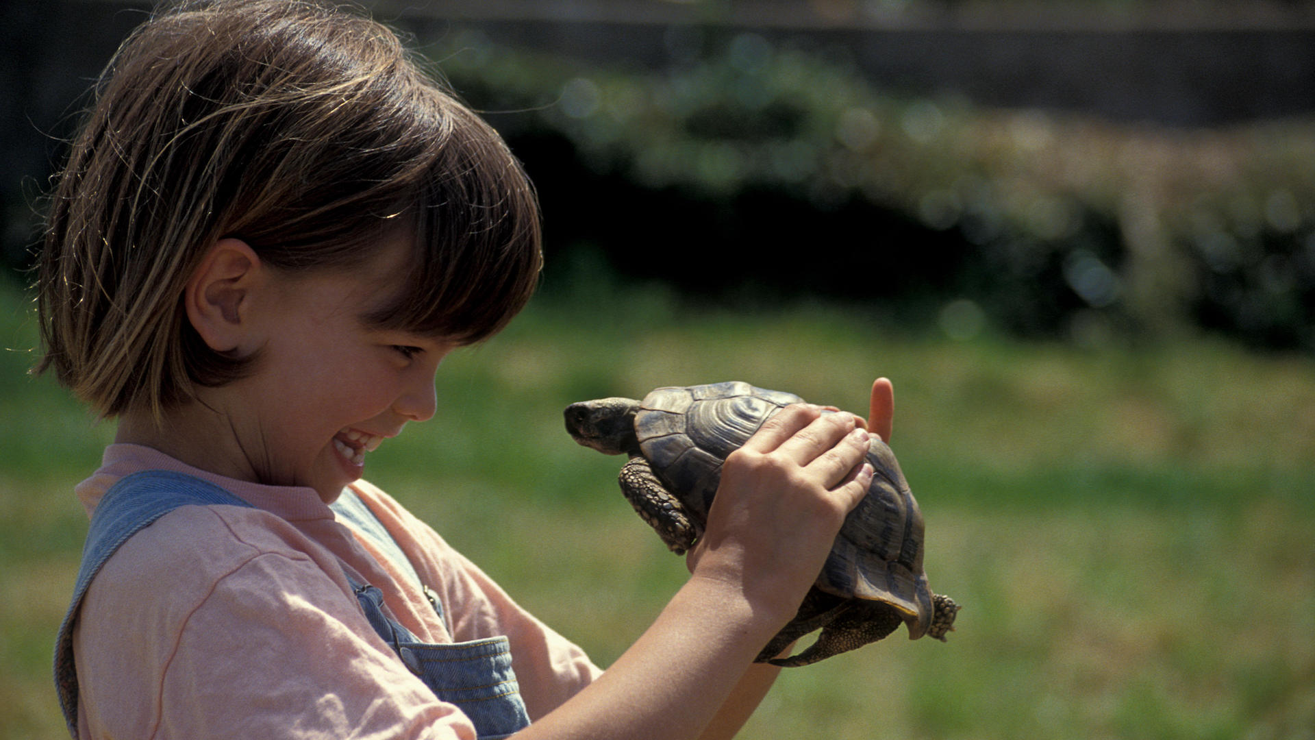 Girl playing with tortoise