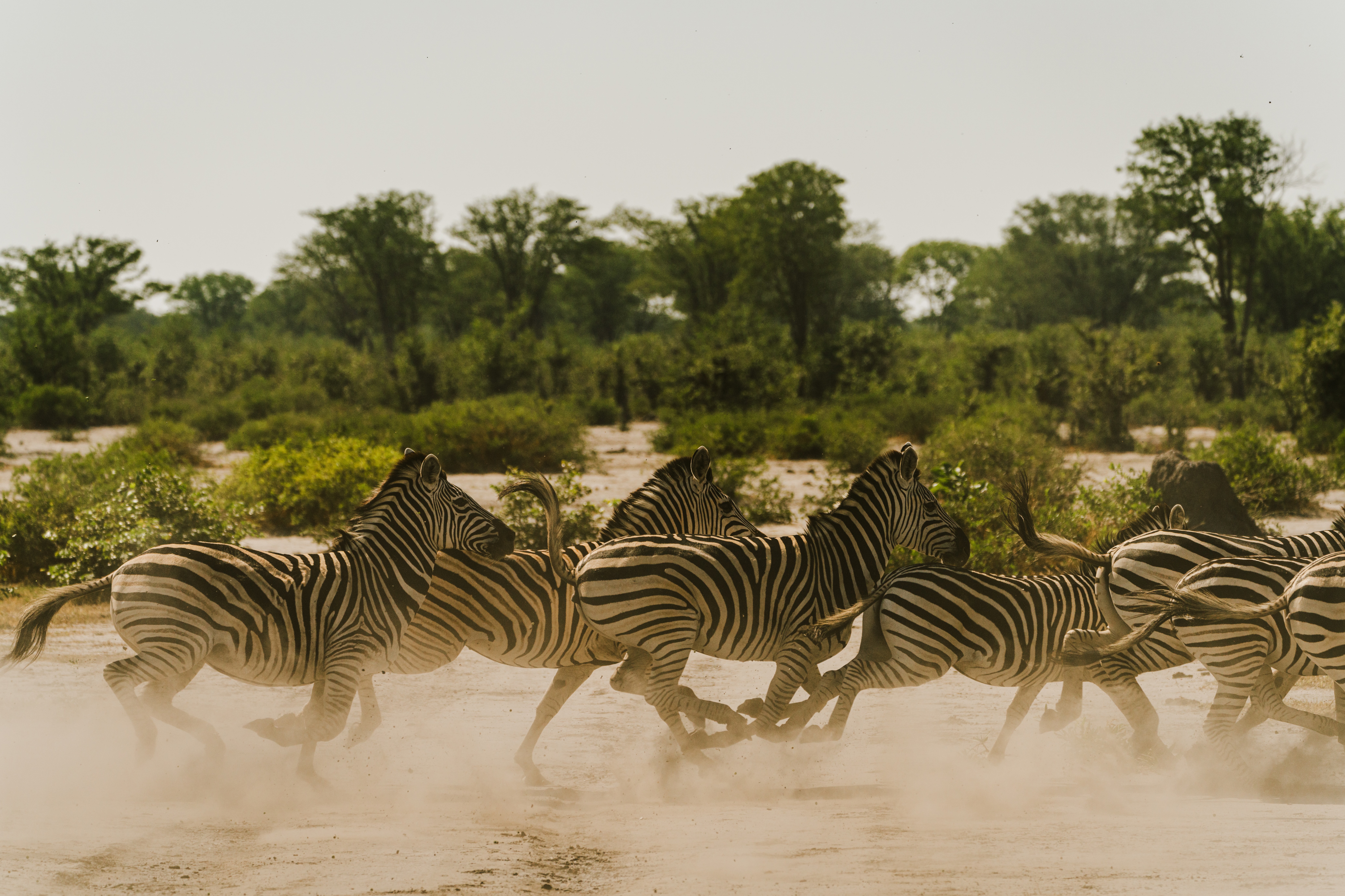 Mokete Camp Botswana