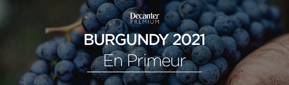 Burgundy 2021 en primeur