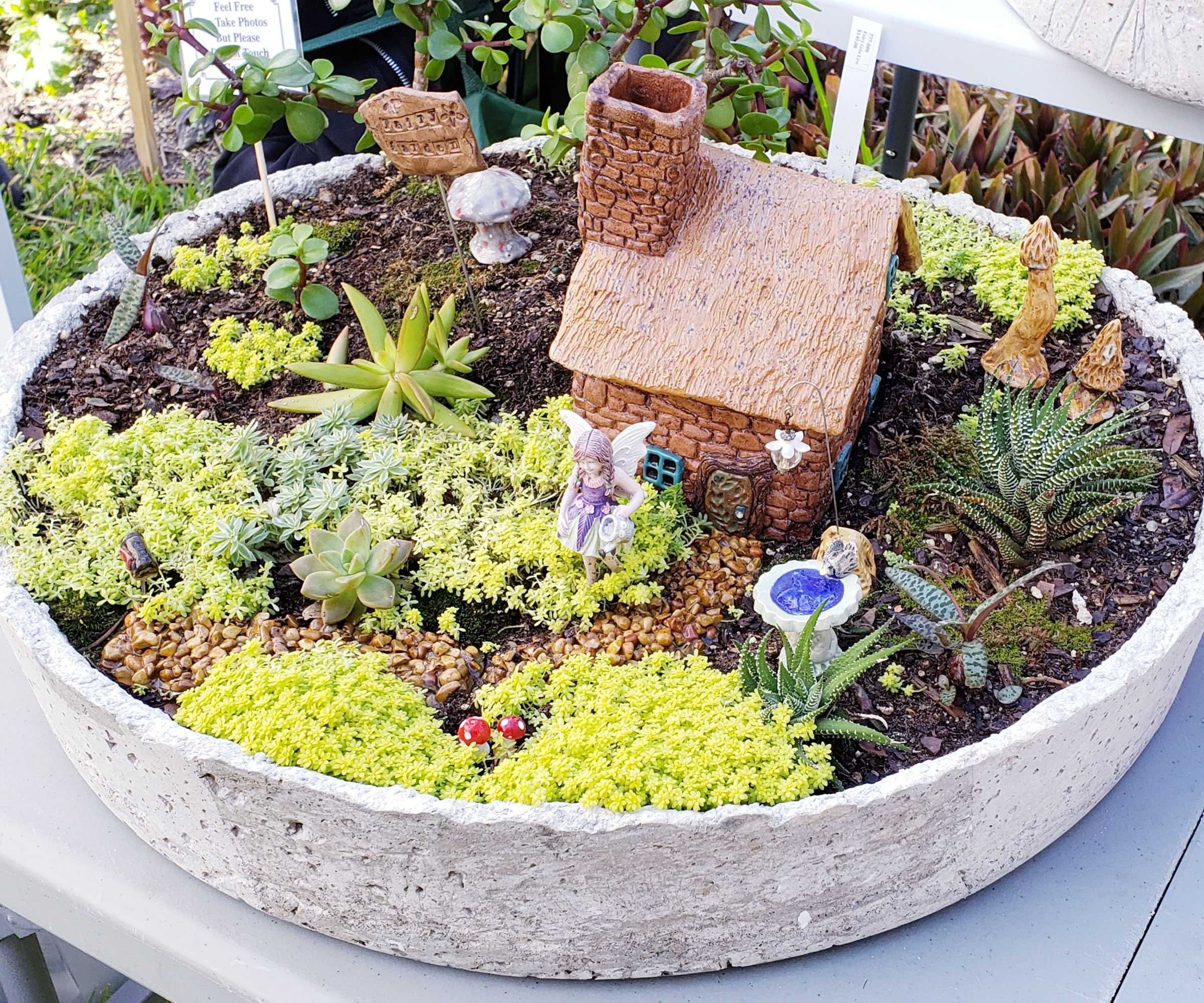 fairy garden container with succulents and a house