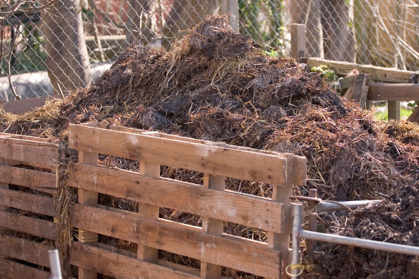 Benefits Of Compost Learn About The Advantages Of Using Compost