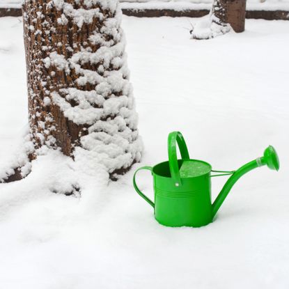 watering can in the snow