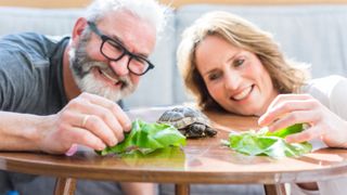 Couple with pet turtle