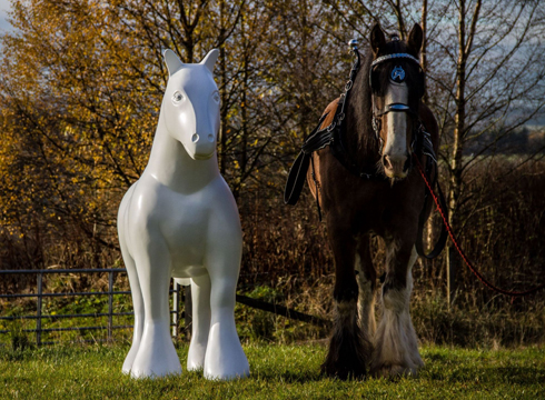 Hamilton horses RSG &amp;amp; Mairi 3