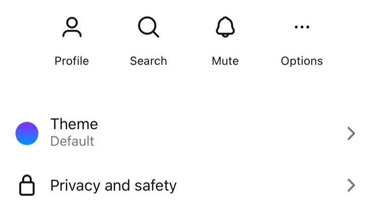 Chat screen settings on Instagram showing a Privacy and Safety option