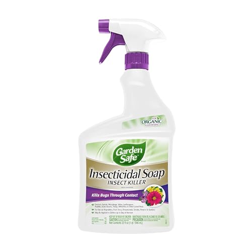 Garden Safe Insecticidal Soap Insect Killer Spray, 32 Oz | for Organic Gardening, Ready-To-Use Spray Controls Aphids, Mealybugs, Mites &amp;amp; Other Listed Insects, Use Indoors &amp;amp; Outdoors