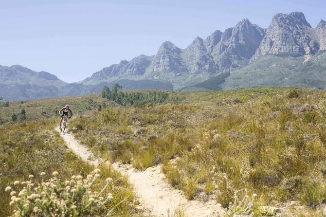 Cape Epic singletrack
