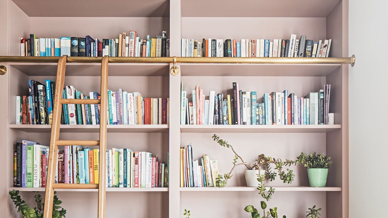 Pink book shelves full of books 