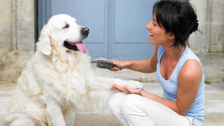 Woman sat on steps outside smiling and grooming her dog