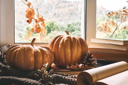 A cosy autumn scene with pumpkins, leaves, books, and a woollen blanket in front of a rainy window.