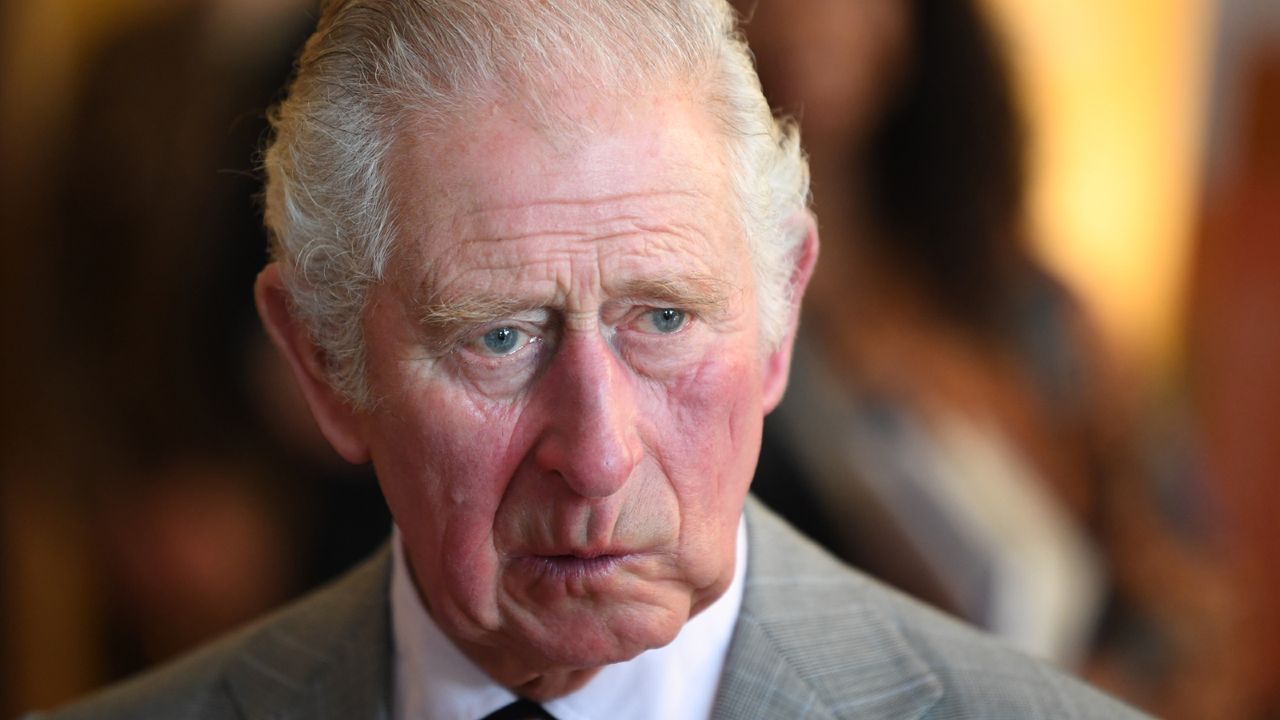 Prince Charles Lilibet - Prince Charles, Prince of Wales attends a reception with the staff, students, donors, the welfare team, and academic Fellows, to learn about the Colleges approach to student and staff wellbeing during a visit to Homerton College at the University of Cambridge, on November 23, 2021 in Cambridge, England.